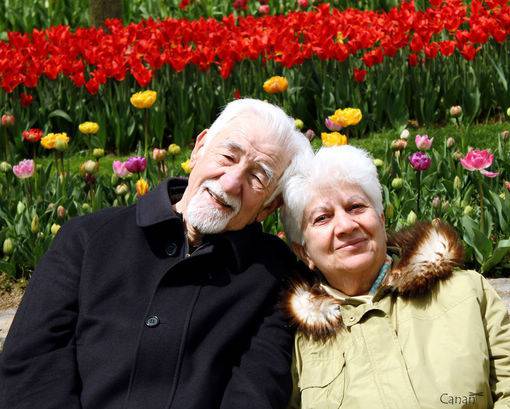 老年甜蜜夫妻意境图