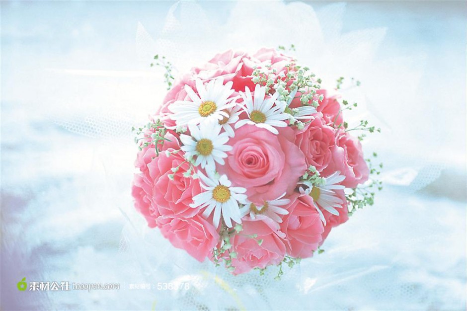 浪漫情人节主题粉玫瑰精致背景图片