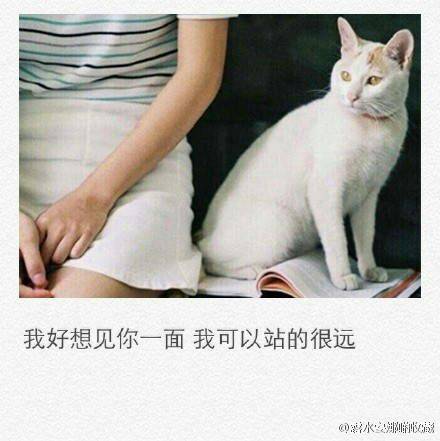 qq空间伤感文字图片