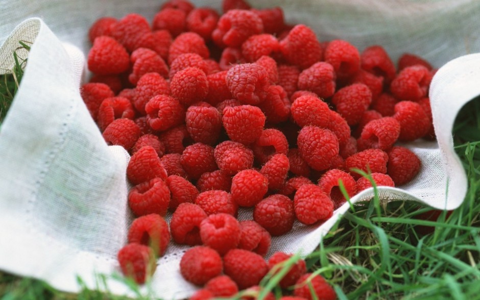 酸甜适中的诱人树莓桌面壁纸