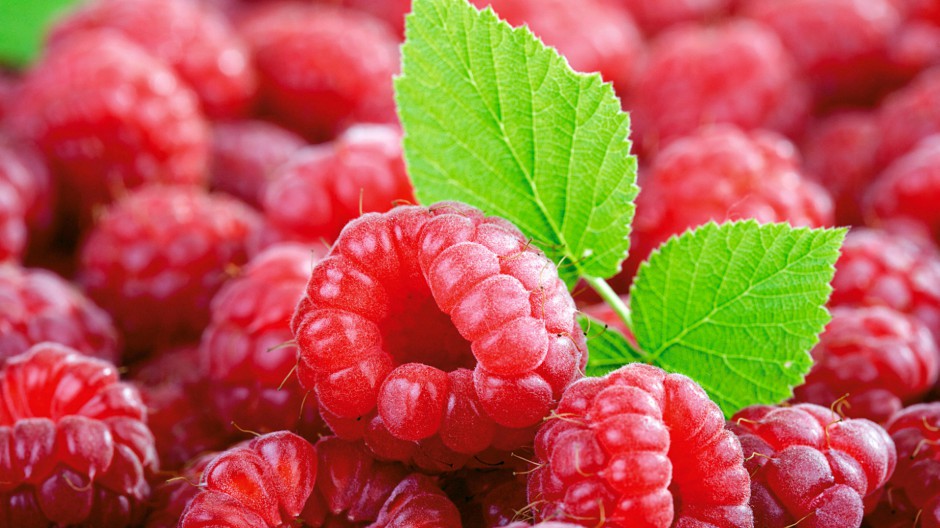 可口树莓唯美红色风景高清大图