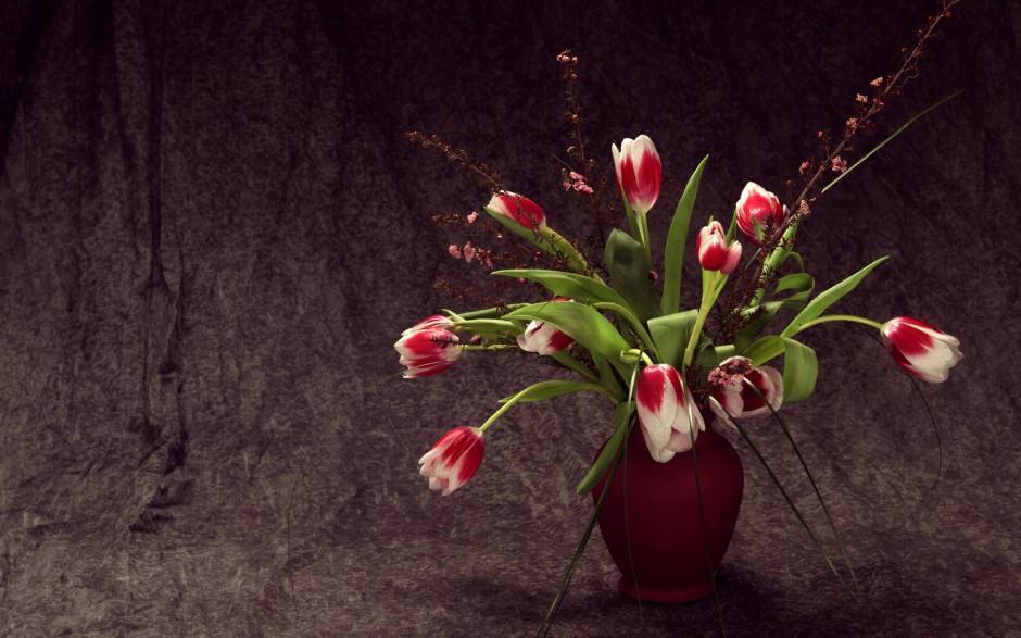 清新田园百花盛放唯美风景高清壁纸