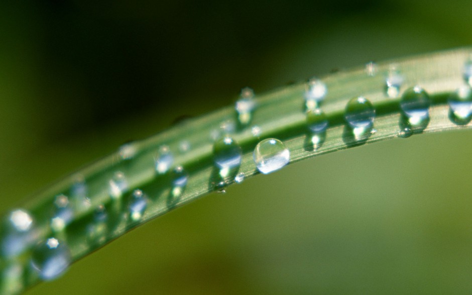 清新雨滴梦幻田野绿色风景高清壁纸