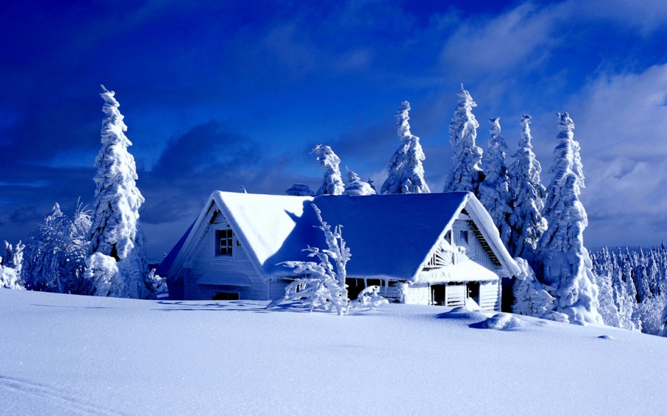 高清纯洁的唯美雪景桌面壁纸