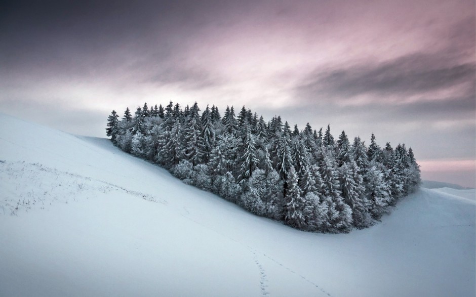 高清纯洁的唯美雪景桌面壁纸