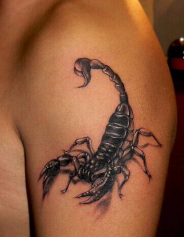个性手臂蝎子图腾纹身图案
