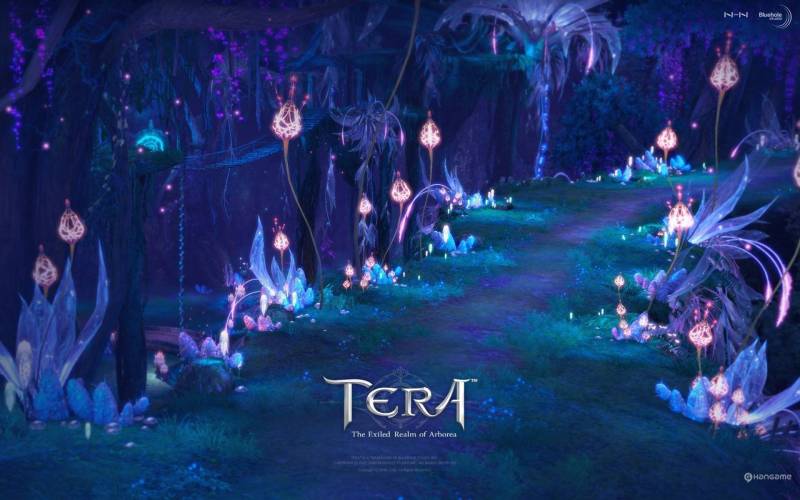 韩国第一SEXY网游《TERA》高清大图