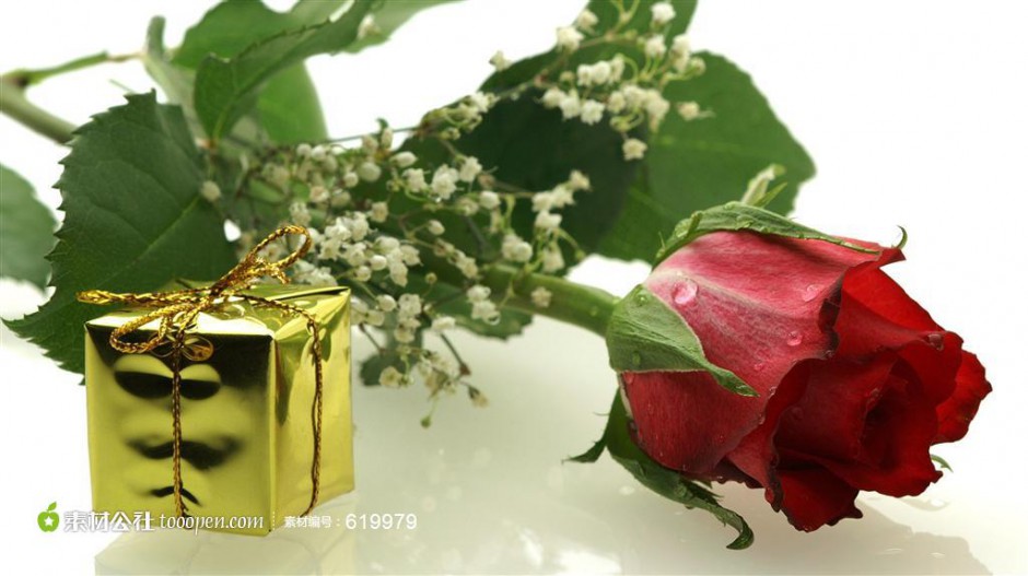 美丽的红玫瑰和礼物摄影图片