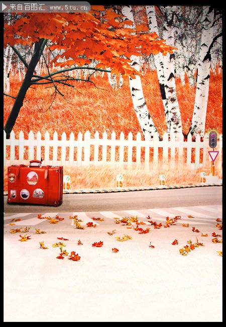 秋天枫叶背景图片素材