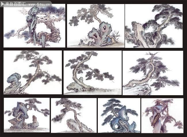 屹立不倒的松树国画图片