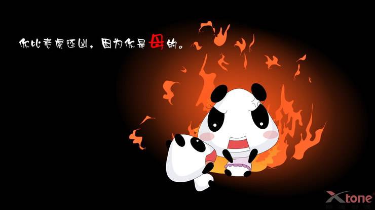 空间材料 超萌熊猫