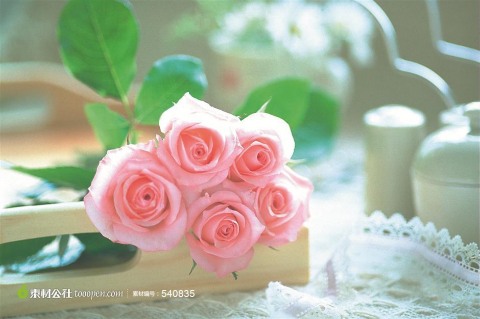 粉玫瑰花图片唯美情人节空间素材