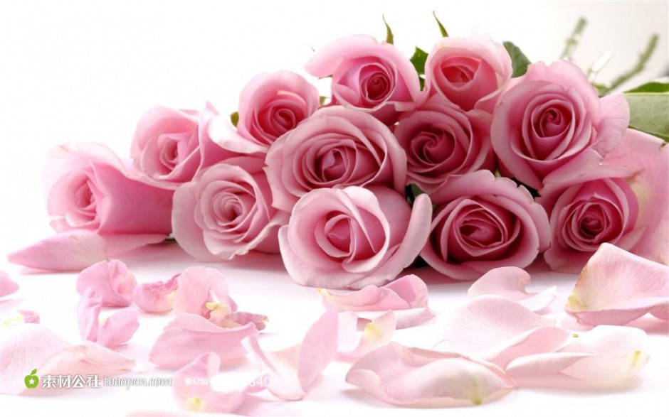 粉色浪漫玫瑰花束意境唯美壁纸