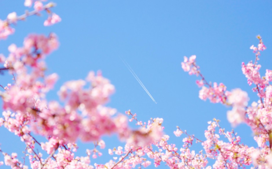 富士山唯美粉色樱花浪漫风景图