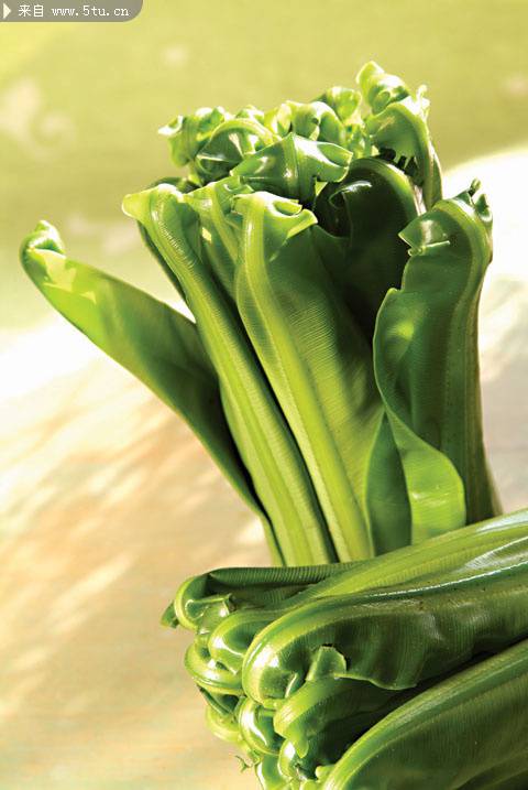 绿色有机蔬菜摄影图片