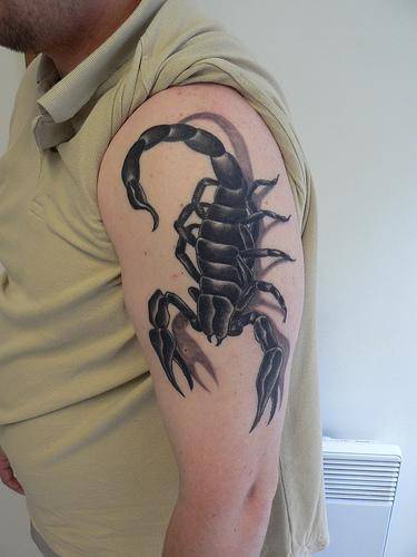 手臂个性蝎子纹身图案大全