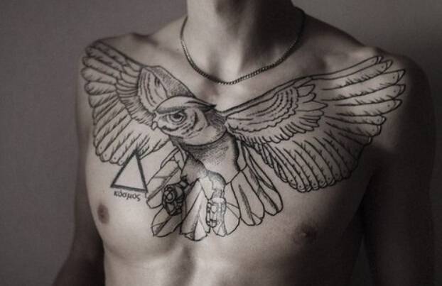 男士胸部个性猫头鹰纹身图案精选