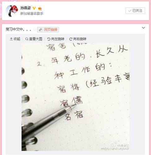 孙燕姿复习中文晒笔记 网友调侃：好好练练中文签名