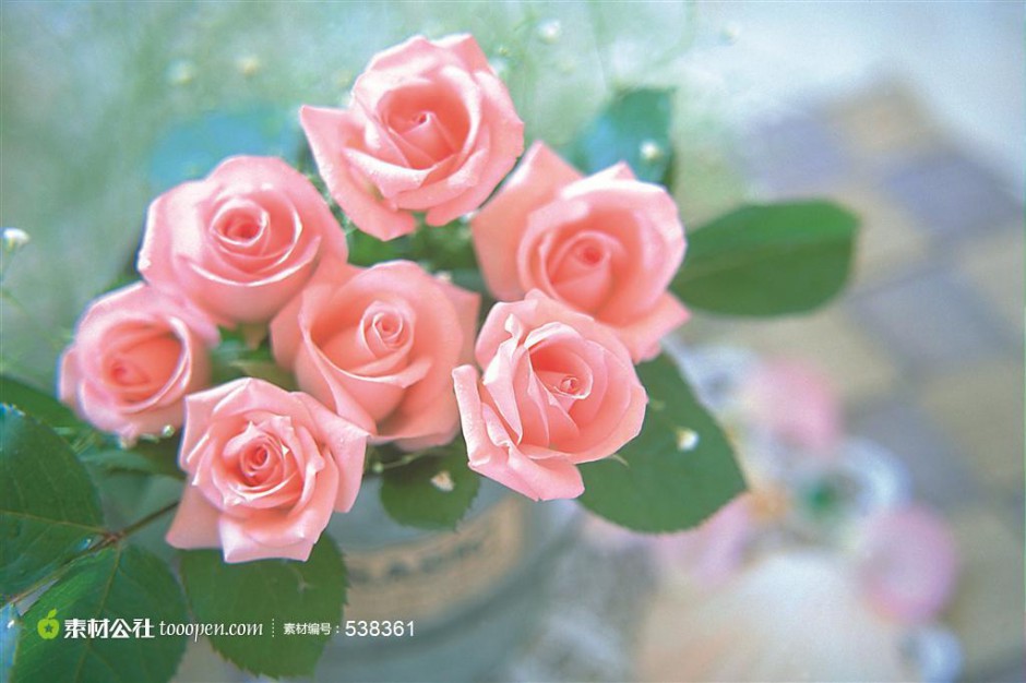 花瓶中的粉玫瑰特写图片