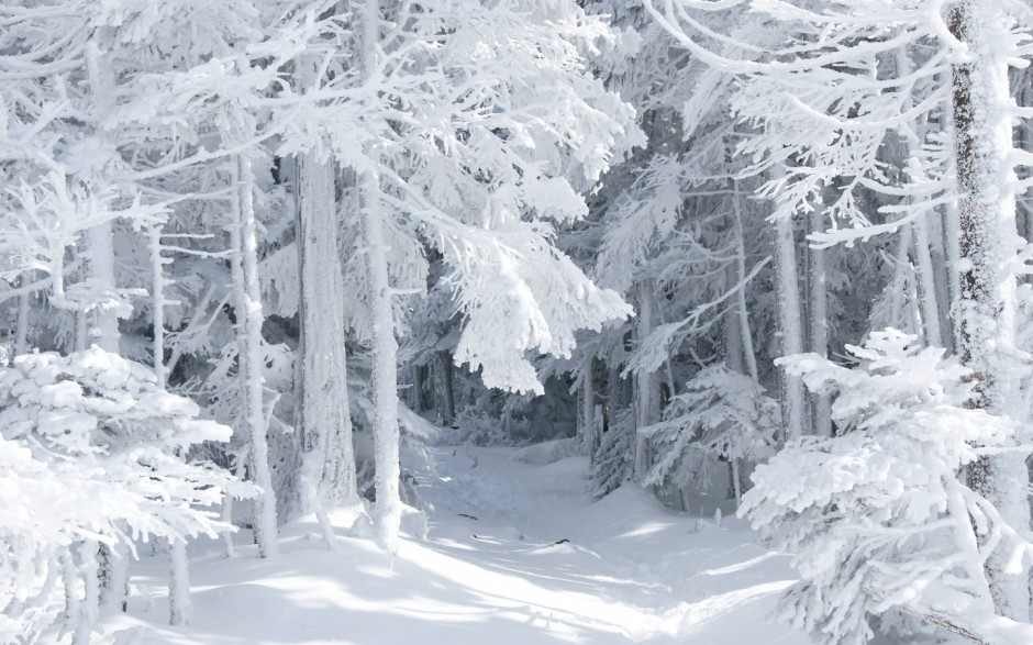 高清雪景唯美壁纸图片