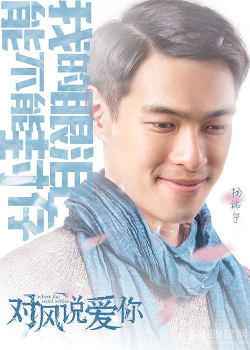 台湾爱情电影推荐《对风说爱你》人物海报