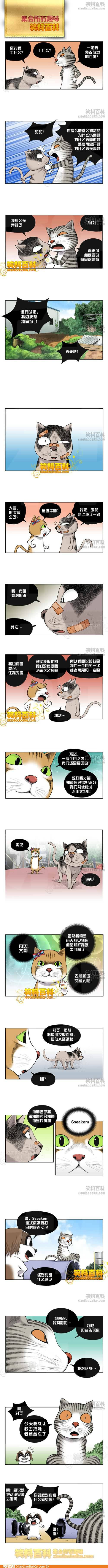 邪恶漫画爆笑囧图第259刊：师傅打扮后的秘密