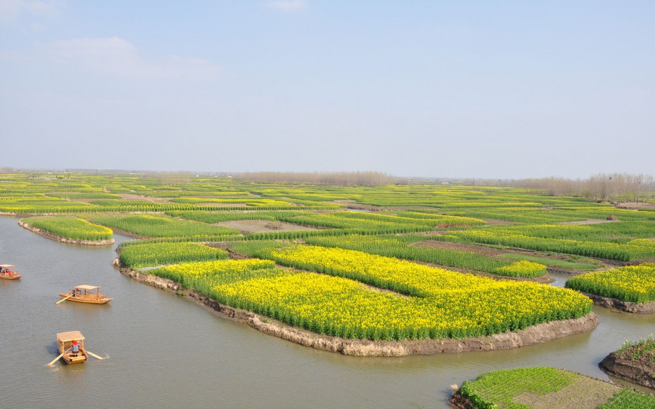 油菜花花田浪漫风景高清精美图集