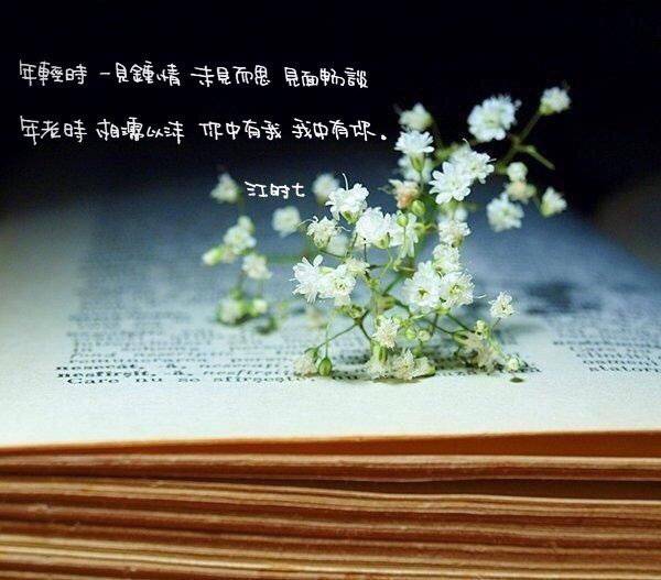 2016最新唯美意境非主流带字图片