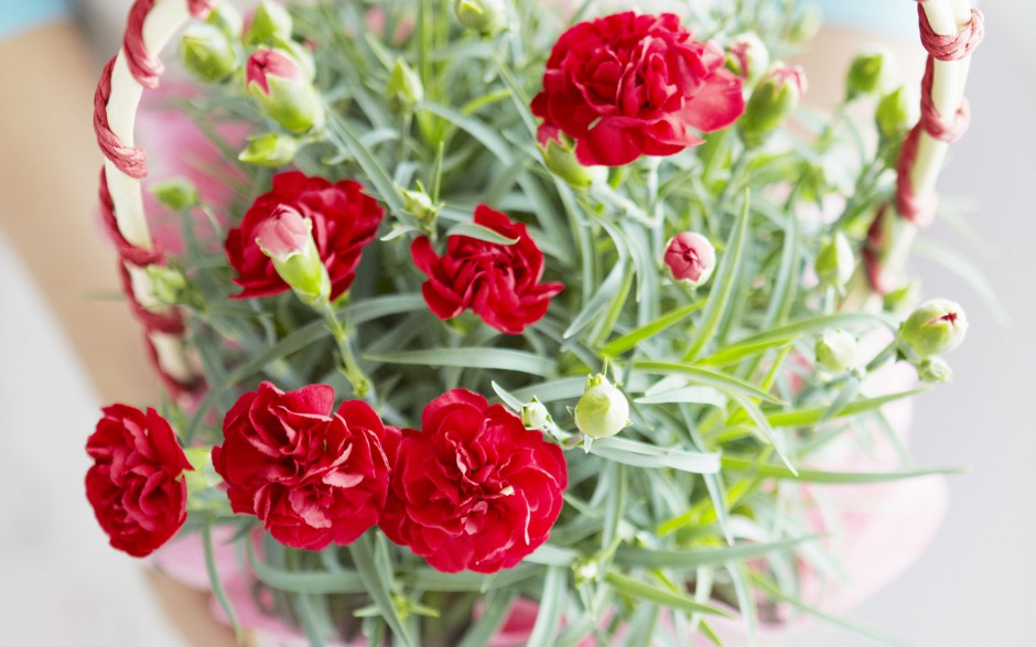 温馨家居唯美桌面壁纸