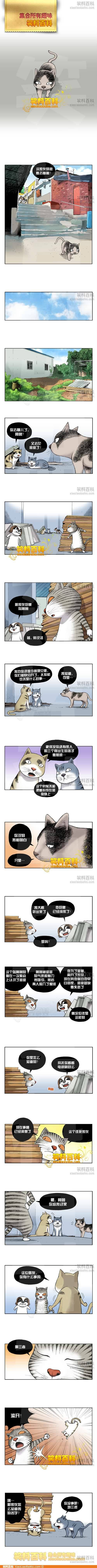 邪恶漫画爆笑囧图第255刊：全是你呀！