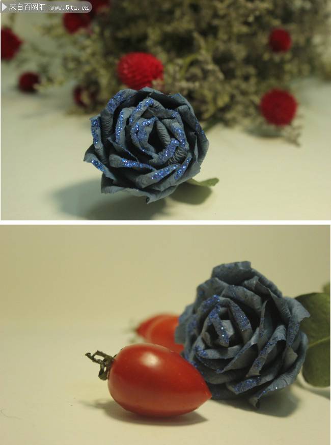 蓝玫瑰花图片素材分享