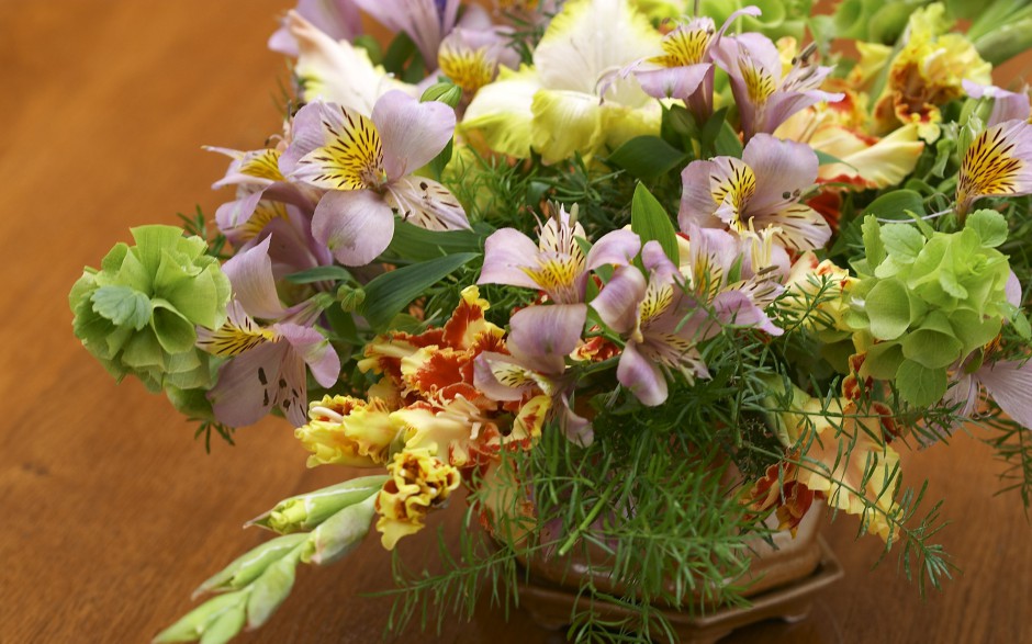 百花争艳鲜花特写高清精选壁纸