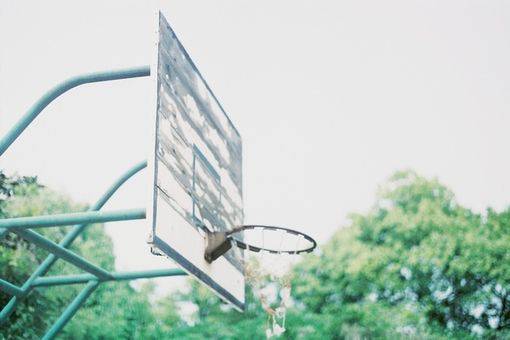 单车浪漫温馨带风景的图片