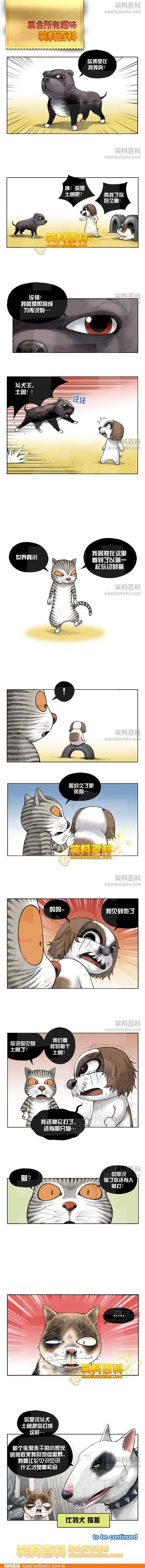 邪恶漫画爆笑囧图第268刊：素质道理的背后
