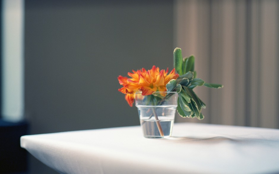 清新简洁插花壁纸