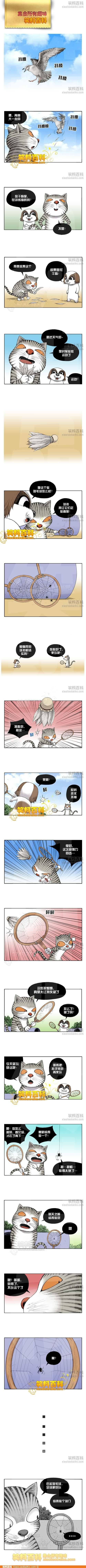 邪恶漫画爆笑囧图第248刊：造型改变