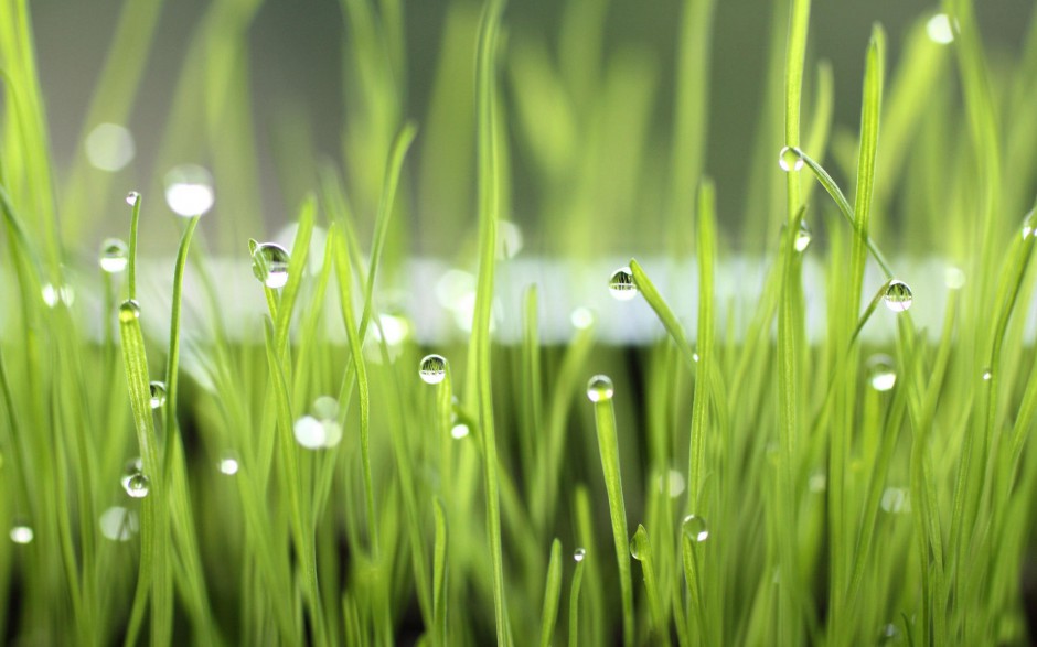 清新雨露浪漫风景个性高清电脑壁纸