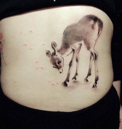 精美的小动物腰部纹身图片
