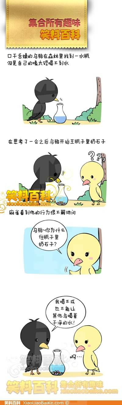 邪恶漫画爆笑囧图第280刊：真相是什么
