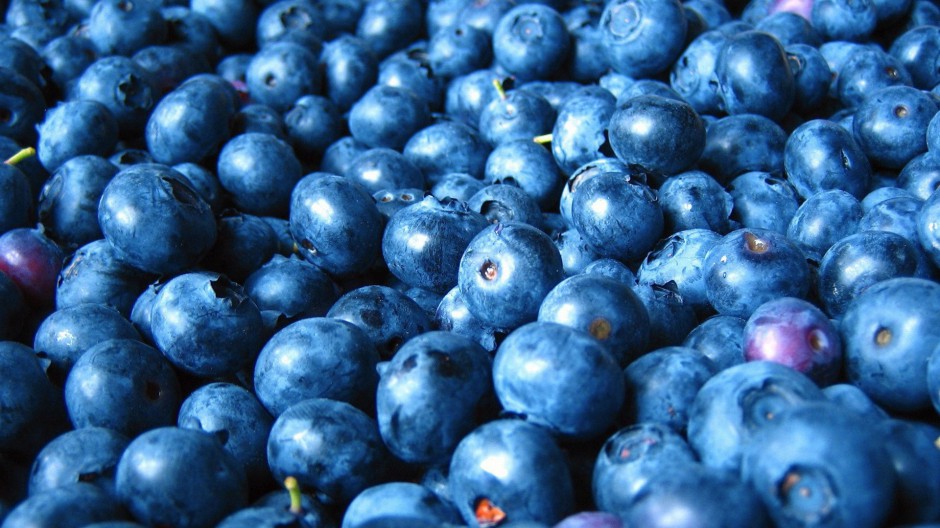 美味诱人蓝莓唯美高清壁纸
