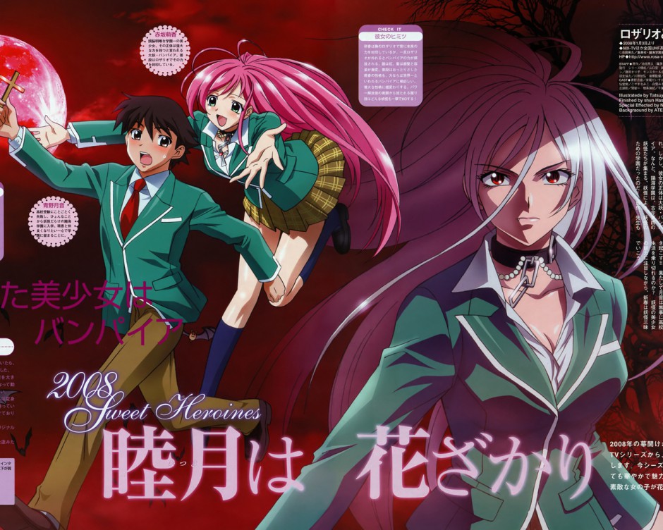 少女派别动漫《银之十字架与吸血姬》图片