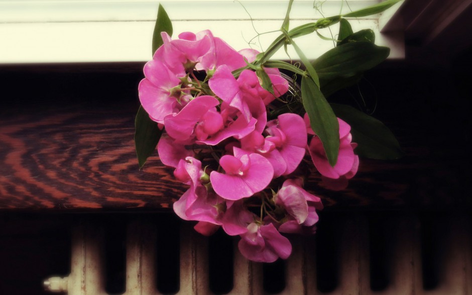 清新简洁插花壁纸