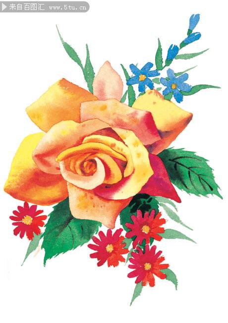 玫瑰花水彩画图片素材优雅清新