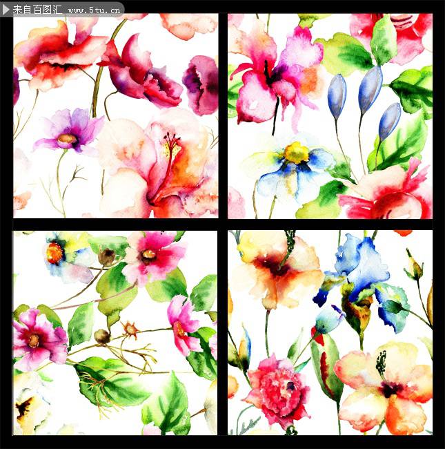 植物图片水彩素描鲜花背景