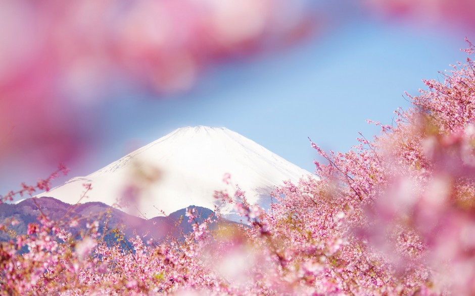 富士山唯美粉色樱花浪漫风景图
