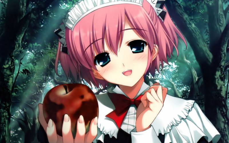 灰色的果实动漫游戏经典高清壁纸