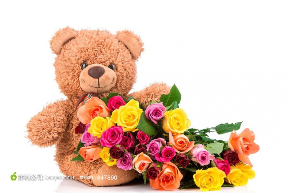 泰迪熊布偶与彩色玫瑰浪漫美图