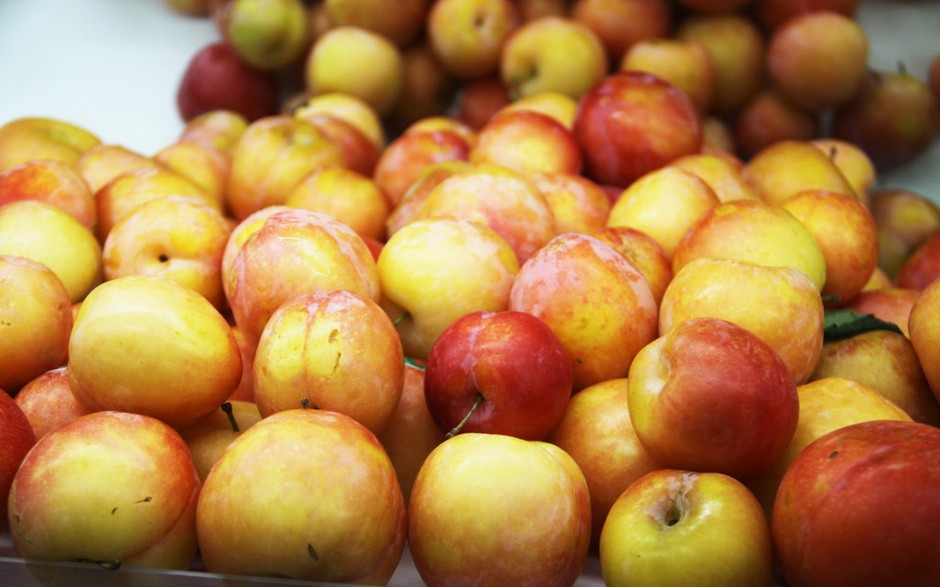 新鲜红嫩李子水果高清大图壁纸