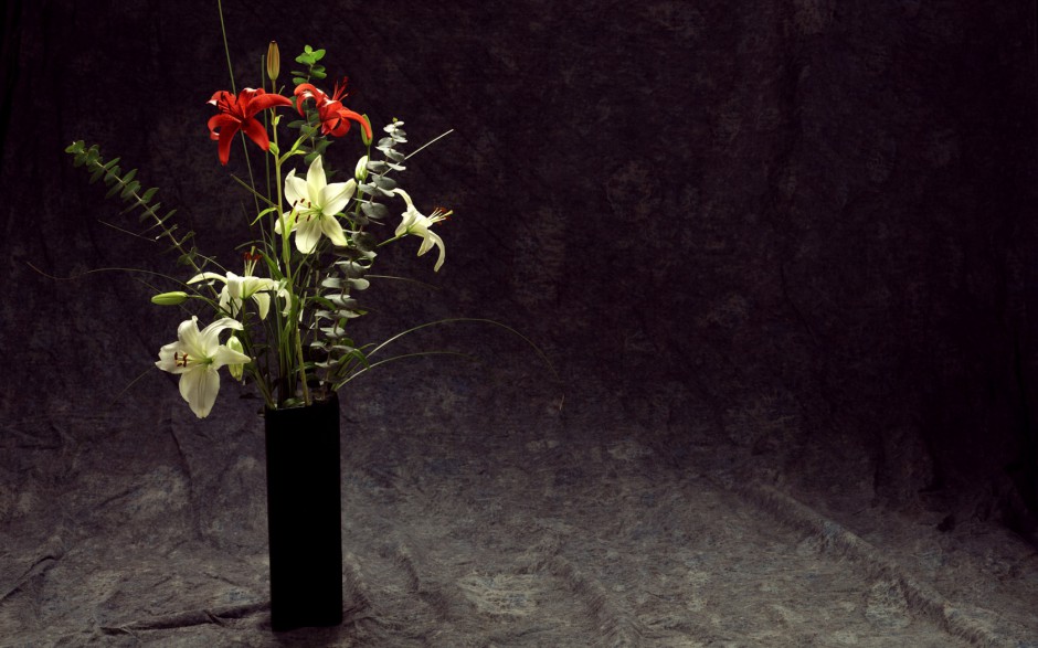 精美好看的鲜花高清壁纸特辑