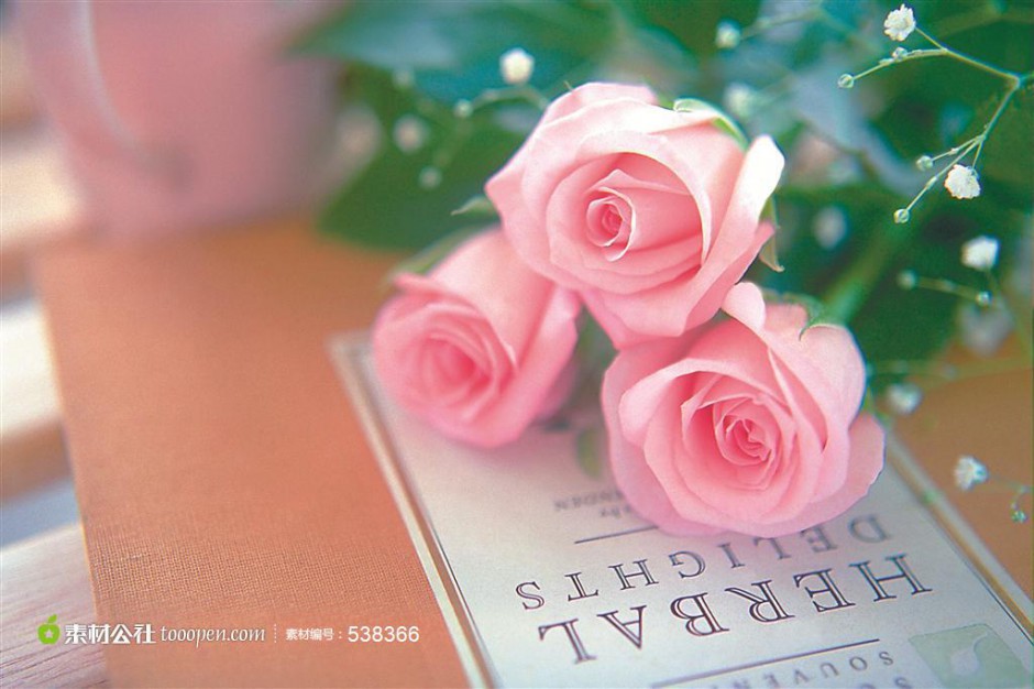 放在书本上的粉色玫瑰花图片